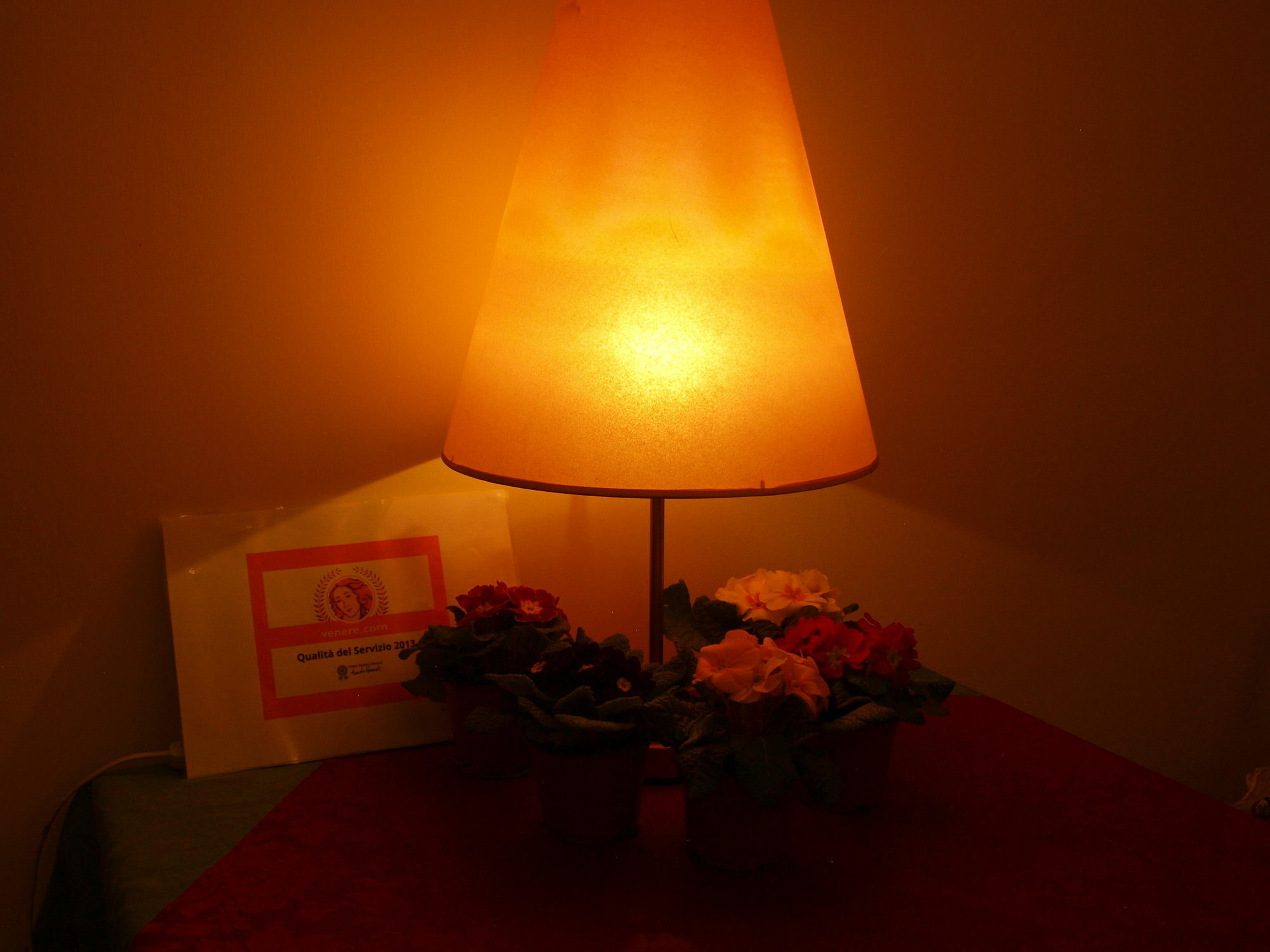 Trastevere Hotel Roma
